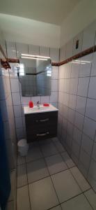 un bagno con lavandino e specchio di Gîtes Mon Trésor ad Anse-Bertrand