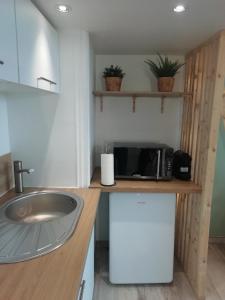 a kitchen with a sink and a microwave on a counter at Le Pouget , Studio, Rez de Chaussée, Front de Mer WIFI in Le Touquet-Paris-Plage