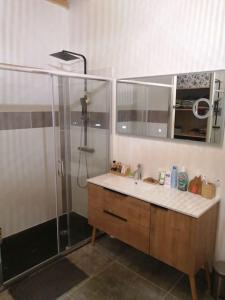 a bathroom with a shower and a sink at Magnifique villa avec jacuzzi et billard in Limoux