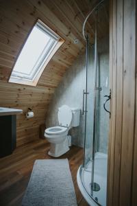 a bathroom with a toilet and a shower and a skylight at Daisy in Rhayader