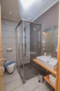 a bathroom with a glass shower and a sink at Grand TheoNi Boutique Hotel & Spa in Vasiliki