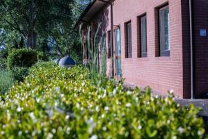 Gallery image of Bed & Bike in Volterra +36 photos