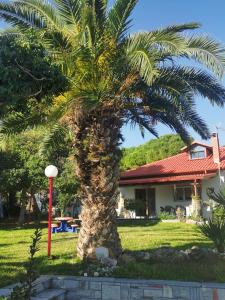 a palm tree in front of a house at 160 s.m unique luxury house in Nea Kallikrateia