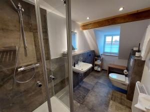 een badkamer met een douche, een toilet en een wastafel bij Gasthaus zum Ochsen in Mönchberg