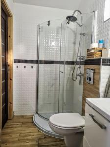 La salle de bains est pourvue d'une douche, de toilettes et d'un lavabo. dans l'établissement Basiówka nad jeziorem, à Boszkowo