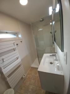 a bathroom with a sink and a shower at L'Eglantyne in La Chapelle-de-Guinchay