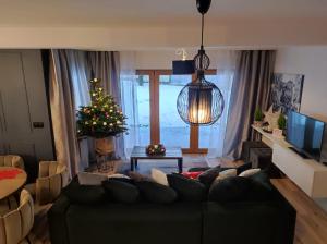 波羅寧的住宿－Będzie Fajnie，带沙发和圣诞树的客厅
