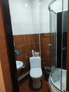 ein Bad mit einem WC, einem Waschbecken und einer Dusche in der Unterkunft Мотель ОК in Shepetivka