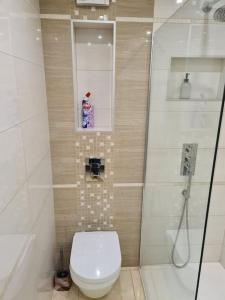 uma casa de banho com um WC e um chuveiro em River view appartment in Kaunas em Kaunas