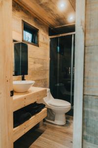 a bathroom with a toilet and a sink and a shower at RUKAKUTRAL refugio de bosque in Pucón