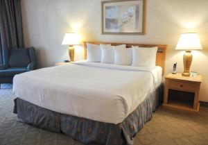 a hotel room with a large bed and a blue chair at Piccadilly Inn Airport in Fresno