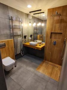ein Bad mit einem WC, einem Waschbecken und einer Dusche in der Unterkunft Między Drzewami in Biecz