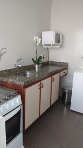 a kitchen with a counter with a sink and a microwave at Apart Hotel Garibaldi in Porto Alegre