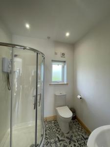 a bathroom with a toilet and a glass shower at Pine Lodge in Lisnaskea