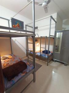 2 Etagenbetten in einem Zimmer mit Deckenventilator in der Unterkunft Sapthagiri Nest in Chikmagalur