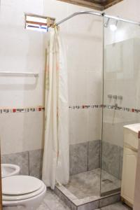 y baño con ducha y aseo. en Peumayen Cabañas en Villa Las Rosas
