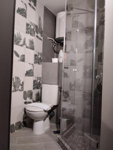 La salle de bains est pourvue d'une douche et de toilettes. dans l'établissement Juliet IsimeriaHomz, à Thessalonique