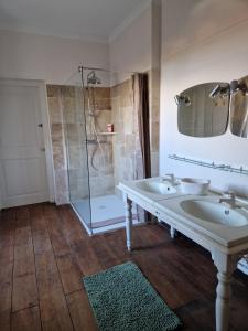 La salle de bains est pourvue d'un lavabo et d'une douche. dans l'établissement Château St Justin, à Saint-Justin