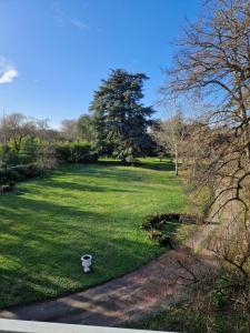 um pássaro sentado na relva num campo em Château St Justin em Saint-Justin