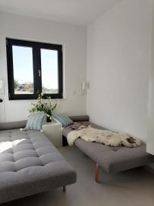 sala de estar con 2 camas y ventana en Bella Mare, en Mandre
