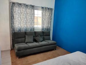 - un canapé dans une chambre bleue avec fenêtre dans l'établissement KayackHouse, à San Carlos
