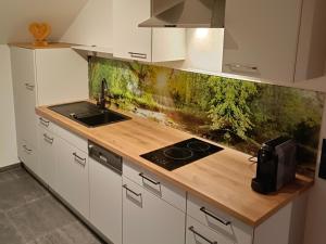 a kitchen with a sink and a counter top at Murperle in Sankt Michael im Lungau