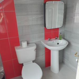 a bathroom with a white toilet and a sink at Apt 3 The Grainstore in Clifden