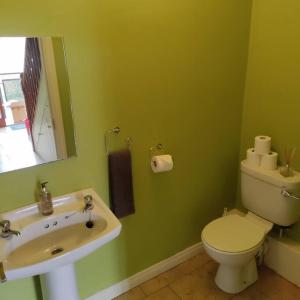 uma casa de banho com um lavatório, um WC e um espelho. em Apt 3 The Grainstore em Clifden
