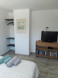 Schlafzimmer mit einem TV und einem Bett mit Kissen in der Unterkunft Aires de la costa Renovado in Neuquén