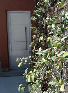 ein Gebäude mit einer weißen Tür und einer Pflanze in der Unterkunft Aires de la costa Renovado in Neuquén