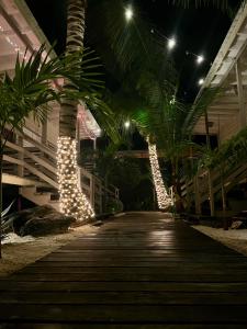 a boardwalk with christmas lights on palm trees at night at DreamCabanas in Caye Caulker