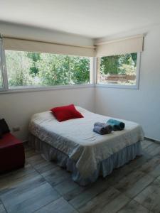 1 dormitorio con 1 cama grande y 2 ventanas en Aires de la costa Renovado en Neuquén