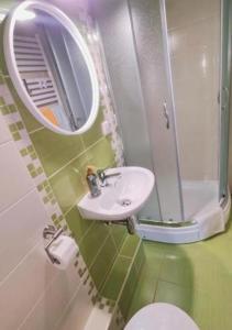 a bathroom with a sink and a mirror and a toilet at VILLA JAGODOVO niezależne piętro z 5 pokojami oraz jadalnią jest dostępny ZADZWON in Biały Dunajec