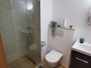 a bathroom with a shower and a toilet and a sink at Superbe appart cosy au centre de Casa+Free Parking in Casablanca