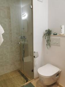 a bathroom with a toilet and a glass shower stall at Superbe appart cosy au centre de Casa+Free Parking in Casablanca