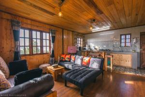 un soggiorno con divani in pelle e una cucina di The Wonky House a Timau