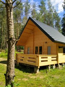 a log cabin in the woods with a tree at Domek w lesie na Mazurach in Orzyny