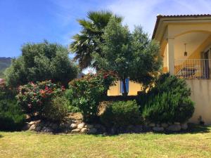 Vonkajšia záhrada v ubytovaní Villa Roccu