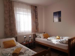 two twin beds in a room with a window at Apartments Martina in Osijek