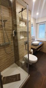 a bathroom with a shower and a toilet and a sink at Casa Joda in Hügelsheim