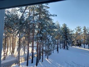Divčibarski M.S.A. kutak en invierno