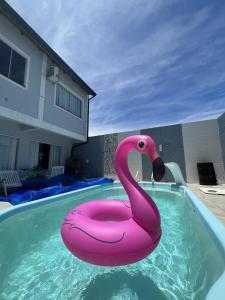 um cisne cor-de-rosa flutua numa piscina em Casa com Piscina temporada em Florianópolis