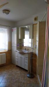 uma cozinha com um lavatório e um espelho em Ubytování Velký Týnec 376 em Velký Týnec