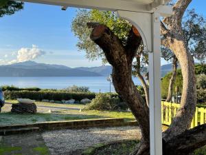 - une vue depuis la terrasse couverte d'une maison avec un arbre dans l'établissement Colibrì by SolturElba, à Capoliveri