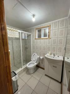 a bathroom with a toilet and a shower and a sink at Cabaña la percha in Coihaique