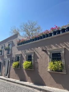 a building with potted plants on the side of it at Casa Laní Luxury B&B in San Miguel de Allende