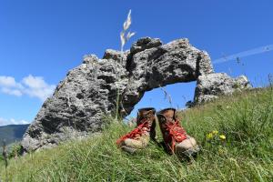 a pair of shoes sitting in the grass in front of a rock at Gîte Au Clair Matin ,la Mure, les passerelles Monteynard in Pierre-Châtel