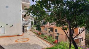 an empty street with a building and a tree at Bedrock in Salerno