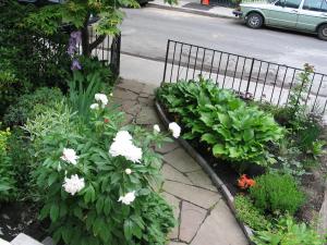 un jardín con flores blancas al lado de una calle en A Seaton Dream en Toronto