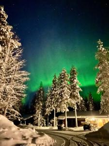 obraz zorzy polarnej na niebie w obiekcie Kelogornitsa w mieście Kittilä